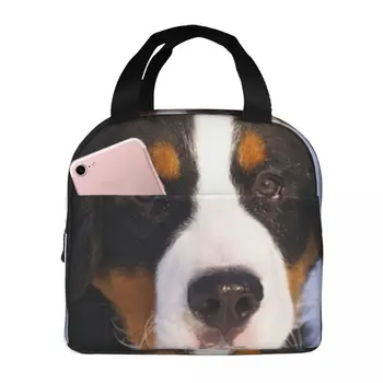Бернско планинско куче Преносима изолирана оксфордска чанта за обяд за многократна употреба Кутия за обяд Организатор на обяд Термичен охладител голяма пазарска чанта